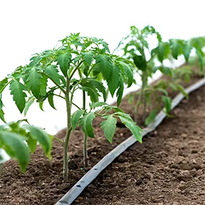 Области применения