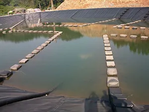 Сельское хозяйство и аквакультура